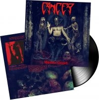Cancer - Shadow Gripped (Vinyl) in the group VINYL / Hårdrock at Bengans Skivbutik AB (3463420)