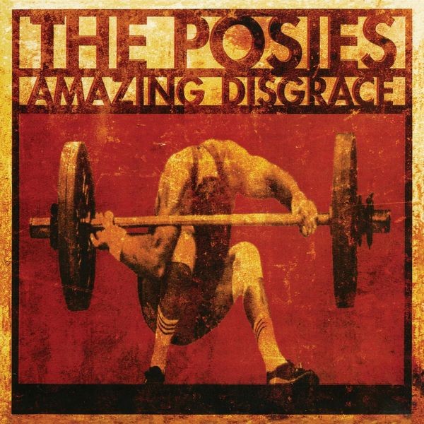 The Posies - Amazing Disgrace in the group CD / Rock at Bengans Skivbutik AB (3463431)