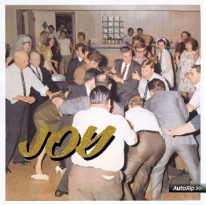 Idles - Joy As An Act Of Resistance in the group OUR PICKS / Best Album Of The 10s / Bäst Album Under 10-talet - Classic Rock at Bengans Skivbutik AB (3464541)