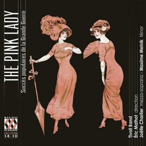 Various - The Pink Lady: Popular Hits Of The in the group Externt_Lager /  at Bengans Skivbutik AB (3469546)