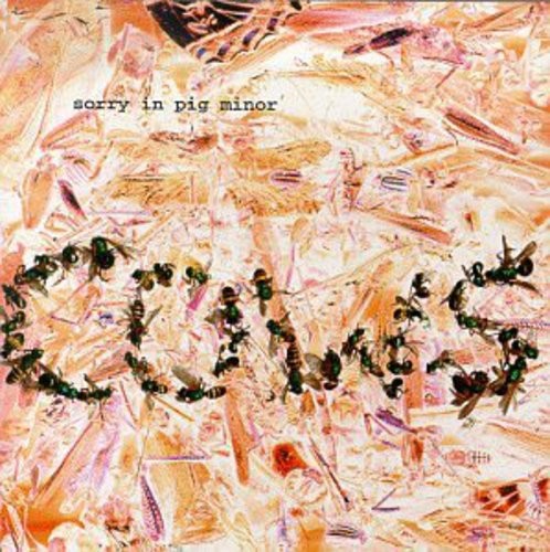 Cows - Sorry In Pig Minor in the group CD / Rock at Bengans Skivbutik AB (3471057)
