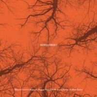 Nordjordet - Nordjordet in the group CD / Elektroniskt,World Music at Bengans Skivbutik AB (3472246)