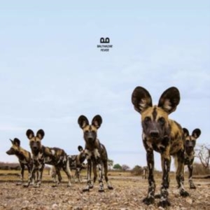 Balthazar - Fever in the group OTHER / Övrigt / at Bengans Skivbutik AB (3472352)