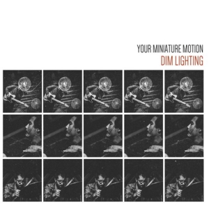 Dim Lighting - Your Miniature Motion in the group CD / Jazz/Blues at Bengans Skivbutik AB (3474086)