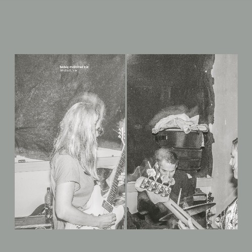 Mollestad Hedvig - Smells Funny in the group CD / Rock at Bengans Skivbutik AB (3474578)