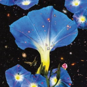 Louise Sarah - Nighttime Birds And Morning Stars in the group OTHER / Övrigt /  at Bengans Skivbutik AB (3476067)