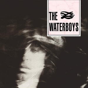 The Waterboys - Waterboys in the group OTHER / CRM - Irish Pop-Rock at Bengans Skivbutik AB (3489861)