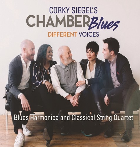 Siegel Corky - Different Voices in the group CD / Jazz/Blues at Bengans Skivbutik AB (3490553)
