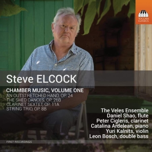 Elcock Steve - Chamber Music, Vol. 1 in the group Externt_Lager /  at Bengans Skivbutik AB (3494709)
