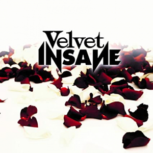 Velvet Insane - Velvet Insane in the group CD / CD Hardrock at Bengans Skivbutik AB (3495391)
