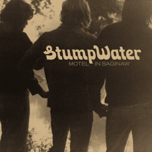 Stumpwater - Motel In Saginaw in the group VINYL / Pop-Rock,Svensk Folkmusik at Bengans Skivbutik AB (3496112)
