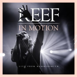 Reef - In Motion (Live From Hammersmith) in the group MUSIK / Blu-Ray+CD / Pop-Rock at Bengans Skivbutik AB (3496570)