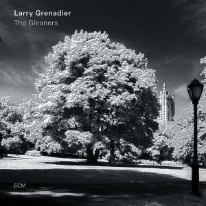 Grenadier Larry - The Gleaners (Lp) in the group Externt_Lager /  at Bengans Skivbutik AB (3496602)