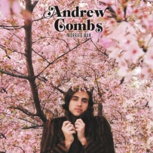 Combs Andrew - Worried Man in the group CD / Country at Bengans Skivbutik AB (3496844)