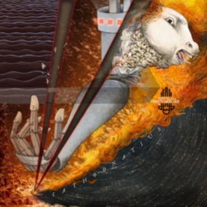 Ananda Mida - Cathodnatius in the group OTHER / Övrigt /  at Bengans Skivbutik AB (3496872)