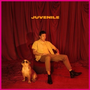 Helmig Hugo - Juvenile in the group CD / Pop-Rock at Bengans Skivbutik AB (3509645)