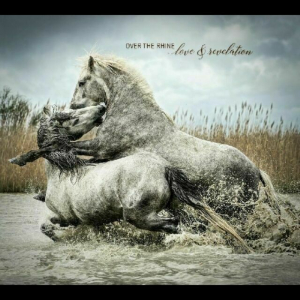 Over The Rhine - Love & Revelation in the group CD / Pop-Rock at Bengans Skivbutik AB (3510710)