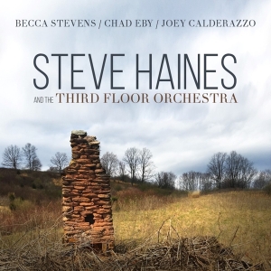 Steve Haines And The Third Flo - Steve Haines And The Third Floor Orchestra in the group CD / Jazz/Blues at Bengans Skivbutik AB (3510922)