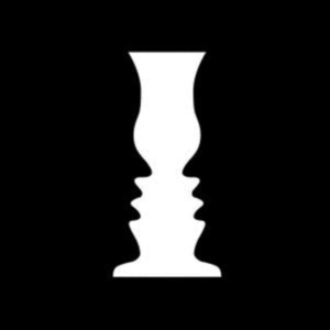 Sensory Illusions - The Sensory Illusions in the group OTHER / Övrigt / at Bengans Skivbutik AB (3511975)