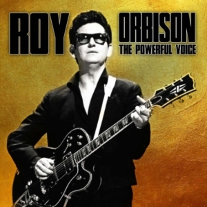 Orbison Roy - Powerful Voice The (Vinyl Lp) in the group VINYL / Pop-Rock at Bengans Skivbutik AB (3513022)