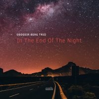 Berg Oddgeir (Trio) - In The End Of The Night in the group OUR PICKS / Weekly Releases / Week 10 / Week 10 / JAZZ / BLUES at Bengans Skivbutik AB (3515001)