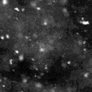 Paysage D'hiver - Einsamkeit (2 Lp Vinyl) in the group VINYL / Hårdrock at Bengans Skivbutik AB (3519920)