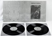 Paysage D'hiver - Steineiche (2 Lp Vinyl) in the group OUR PICKS / Weekly Releases / Week 9 / VINYL Week 9 / METAL at Bengans Skivbutik AB (3519921)