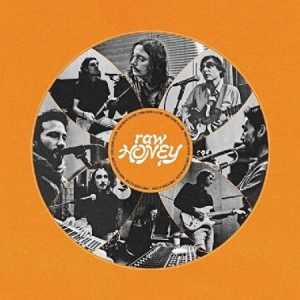Drugdealer - Raw Honey in the group VINYL / Upcoming releases / Rock at Bengans Skivbutik AB (3519969)