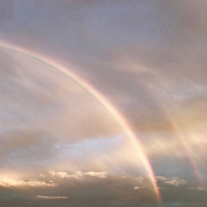 Ex Confusion - I Remember When in the group CD / Pop-Rock at Bengans Skivbutik AB (3519982)