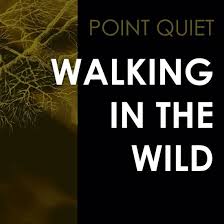 Point Quiet - Walking In The Wind in the group OUR PICKS / Weekly Releases / Week 11 / VINYL W.11 / POP /  ROCK at Bengans Skivbutik AB (3522497)