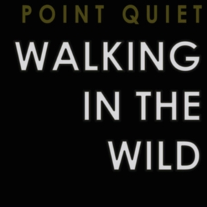 Point Quiet - Walking In The Wind in the group CD / Pop-Rock at Bengans Skivbutik AB (3522498)