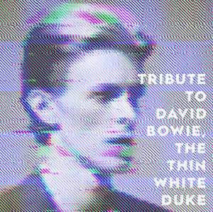 Blandade Artister - Tribute To The Thin White Duke in the group OUR PICKS / Weekly Releases / Week 13 / VINYL W.13 / POP /  ROCK at Bengans Skivbutik AB (3524288)