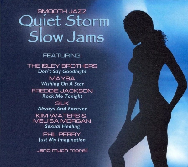 Various Artists - Quiet Storm Slow Jams in the group CD / Bestsellers at Bengans Skivbutik AB (3529599)