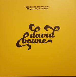 Top Of The Poppers - Sing And Play The Hits Of David Bow in the group OUR PICKS / Weekly Releases / Week 13 / VINYL W.13 / POP /  ROCK at Bengans Skivbutik AB (3532085)