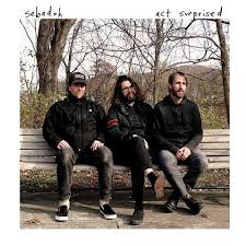 Sebadoh - Act Surprised (Col.Vinyl) in the group VINYL / Pop-Rock at Bengans Skivbutik AB (3533088)