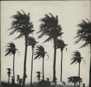 Magazzini Criminali - Crollo Nervoso (+Cd) in the group VINYL / Rock at Bengans Skivbutik AB (3534015)