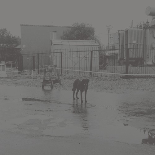 Nivhek - After Its Own Death/Walking in the group VINYL / Rock at Bengans Skivbutik AB (3542430)