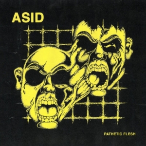 Asid - Pathetic Flesh in the group OTHER / Övrigt /  at Bengans Skivbutik AB (3545192)