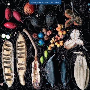 Wiggs Josephine - We Fall in the group OTHER / Övrigt /  at Bengans Skivbutik AB (3545218)