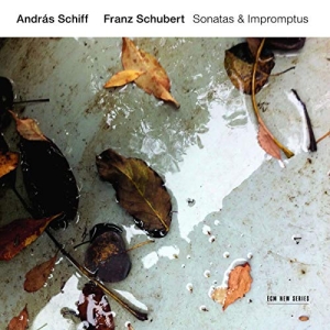 Schubert Franz - Sonatas & Impromptus in the group Externt_Lager /  at Bengans Skivbutik AB (3546828)