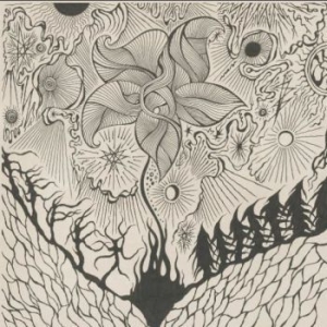 Jordsjï - Nattfiolen in the group CD / Pop-Rock at Bengans Skivbutik AB (3548342)