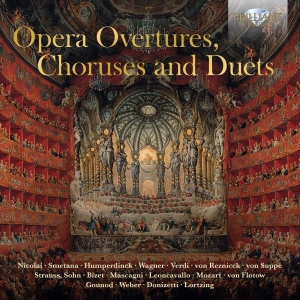 Various - Opera Overtures, Choruses And Duets in the group Externt_Lager /  at Bengans Skivbutik AB (3552168)