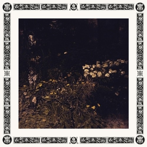 Sarah Davachi - Pale Bloom in the group CD / Rock at Bengans Skivbutik AB (3555434)