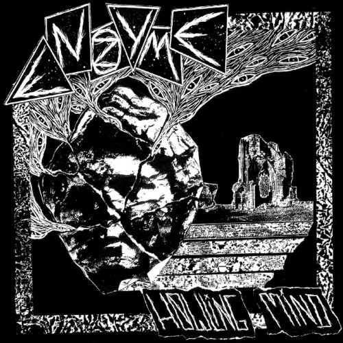 Enzyme - Howling Mind in the group VINYL / Rock at Bengans Skivbutik AB (3555468)