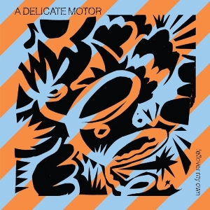 A Delicate Motor - Fellover My Own in the group VINYL / Upcoming releases / Pop at Bengans Skivbutik AB (3558542)