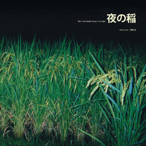 Kudo Reiko - Rice Field Silently Riping In The N in the group VINYL / Bestsellers at Bengans Skivbutik AB (3565455)
