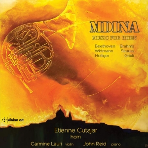 Various - Mdina - Music For Horn in the group CD / New releases / Classical at Bengans Skivbutik AB (3566068)