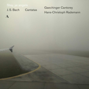 Bach J S - Stay, Ye Angels: Cantatas in the group Externt_Lager /  at Bengans Skivbutik AB (3597441)