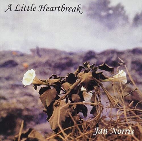 Norris Jan - A Little Heartbreak in the group CD / Pop at Bengans Skivbutik AB (3599429)