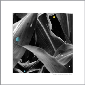 King Arthur - Changing Landscapes in the group VINYL / Pop-Rock at Bengans Skivbutik AB (3599463)